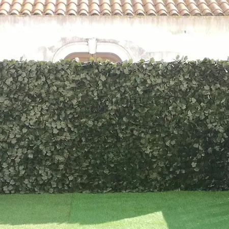 בית הארחה Residencial S Juliao Al פיגואיירה דה פוז